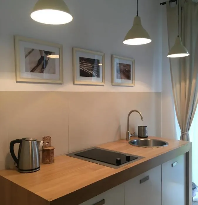 Studio 4U Zakopane APARTZAKOP-1